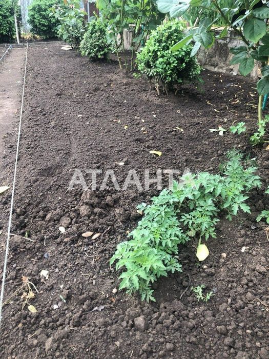 дом в новой Дофиновке