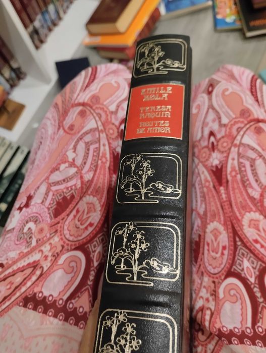 Emile Zola, Teresa Raquin, noite de amor