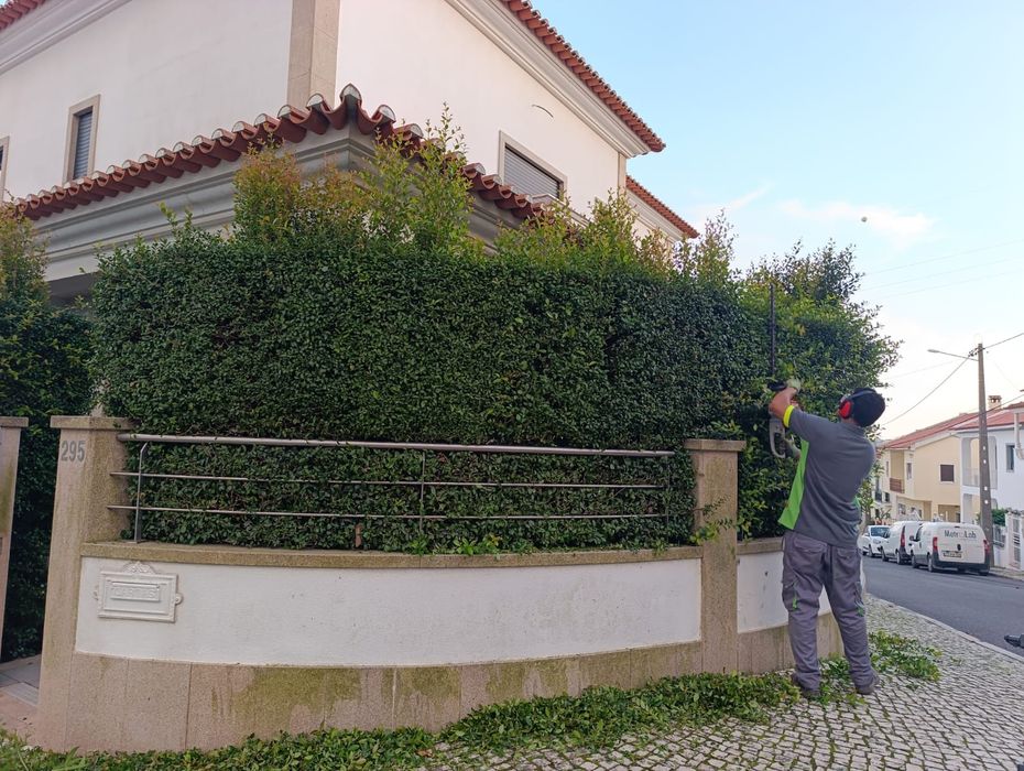 Temos serviços de jardins