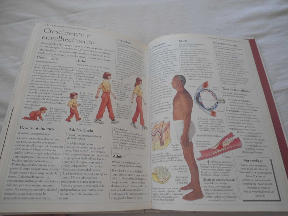 Dicionário Escolar do Corpo Humano por David Burnie