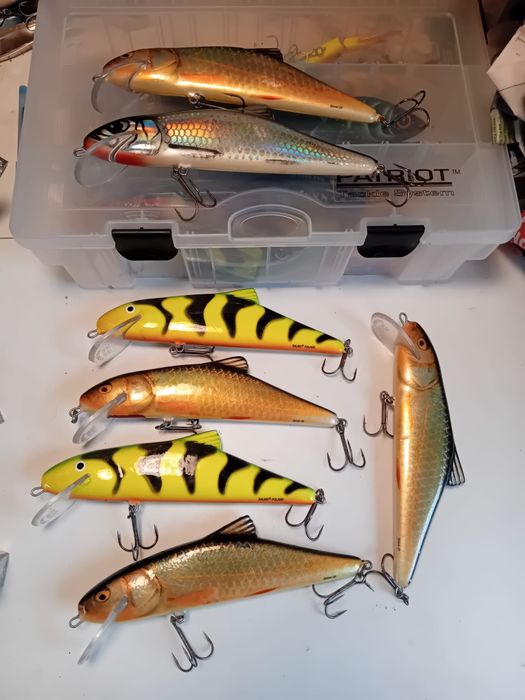 Salmo Skinner 20 RR GT HGS