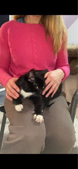 Fruzio 10 miesieczny cudowny kocurek