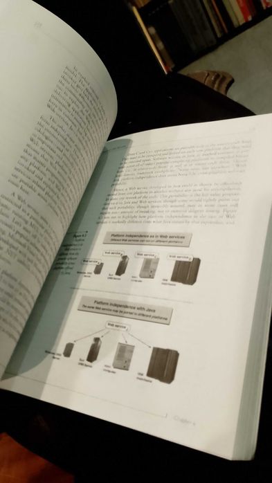 Web Services: Theory and Practice - Anura Gurugé