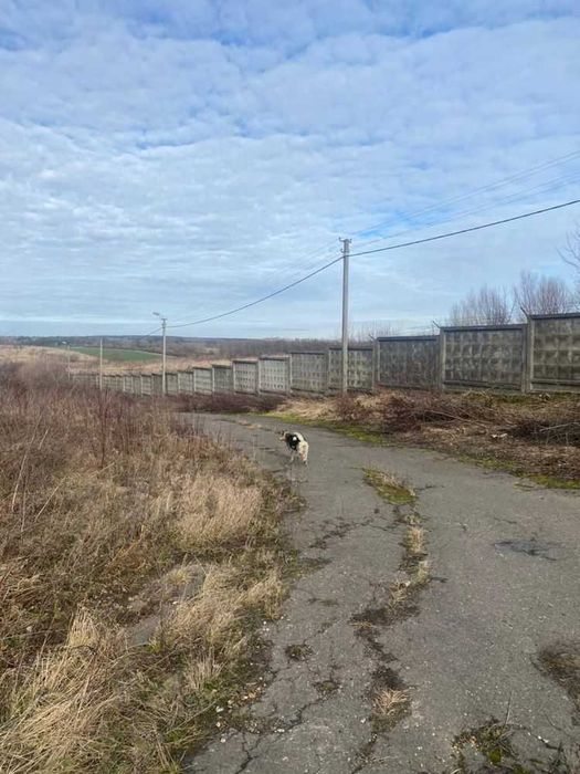 Продаж комерційного приміщення у селі Ременові