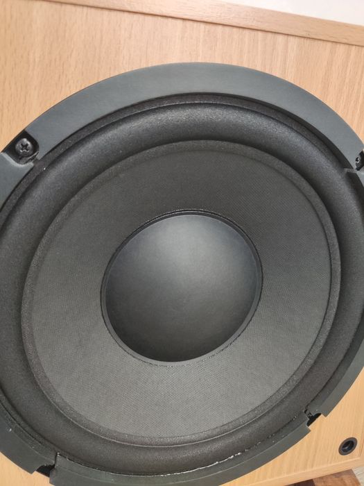 Сабвуфер Monitor Audio asw 100