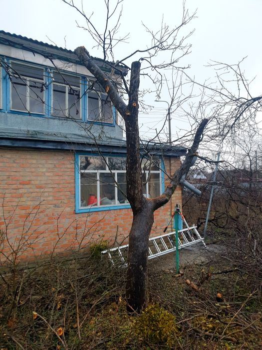 Обслуговування ділянок. СПИЛЮВАННЯ дерев. СКОШУВАННЯ трави тощо.