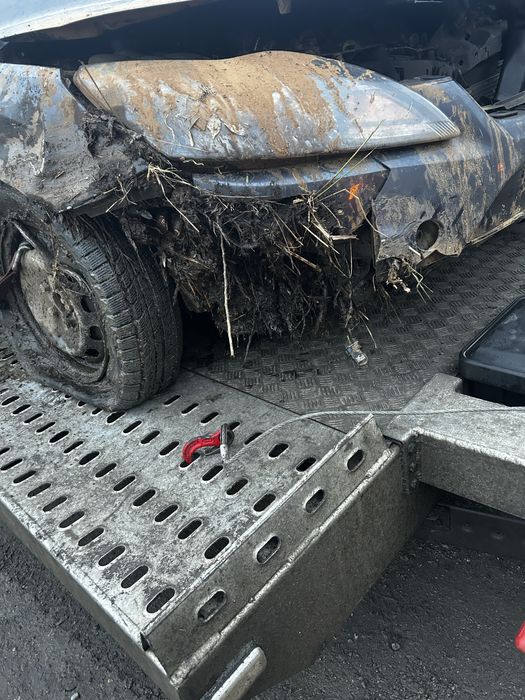 Ford Focus na sprzedaż