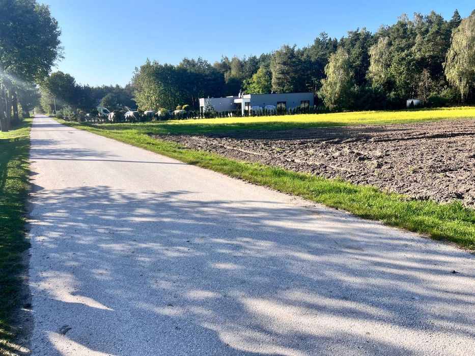 Działki na sprzedaż – Chorzewa | Spokojna okolica blisko lasu i Jędrzejowa - Widok 2