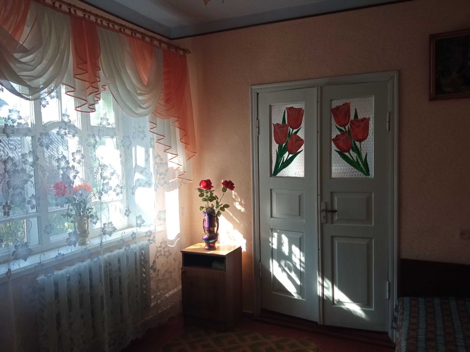 Продаётся дом в г.Кодыма по ул.Франца Карпинского,67