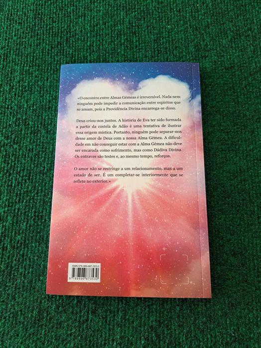 Alma Gémea - The Encounter and the Search - Dulce Regina64585827860097121