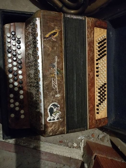 Баяни часів СРСР(багато)