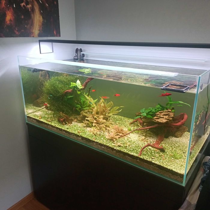 Sprzedam akwarium 360 l