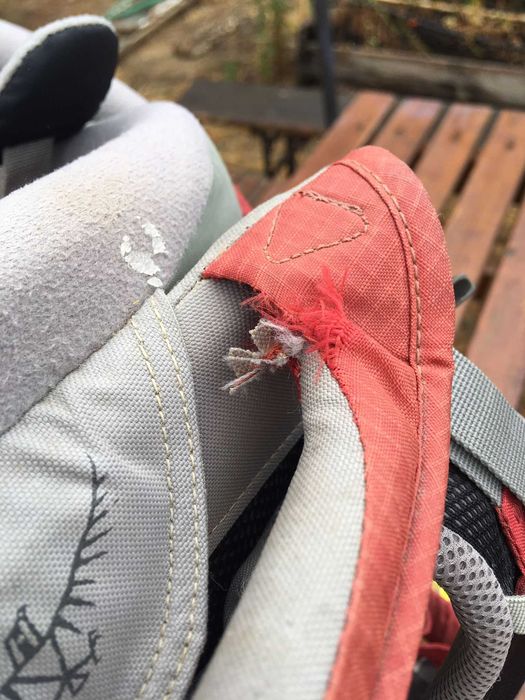 Osprey Poco Plus64173131275523124