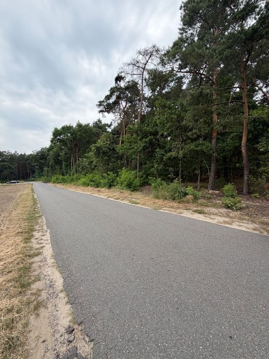 Działka leśna o pow. 0,42 ha - Widok 4