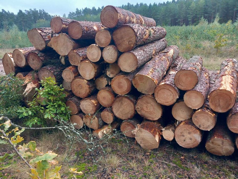 Różne rodzaje do kominka