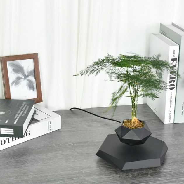 Левитирующий вазон, парящий горшок, левітуючий кашпо з норвежськ мохом