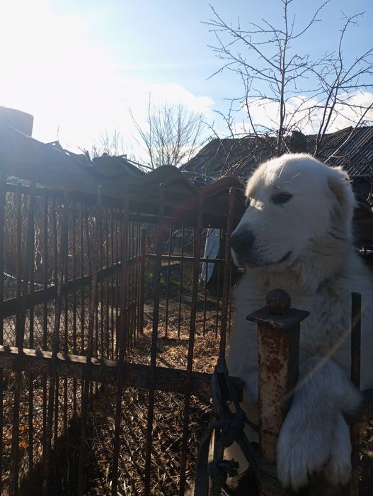 Кабель для вязки