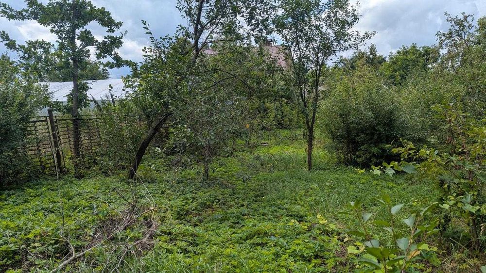 Продається ділянка під будівництво у с. Липівка(12)