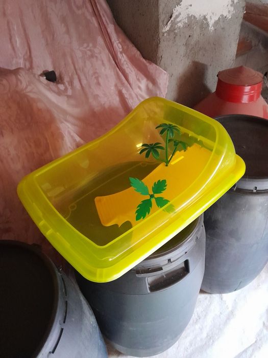 Tartarugueiras Como Novas