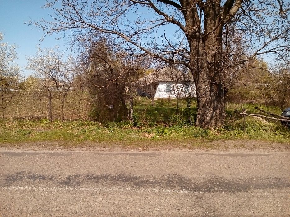 Продажа участка 53сотки