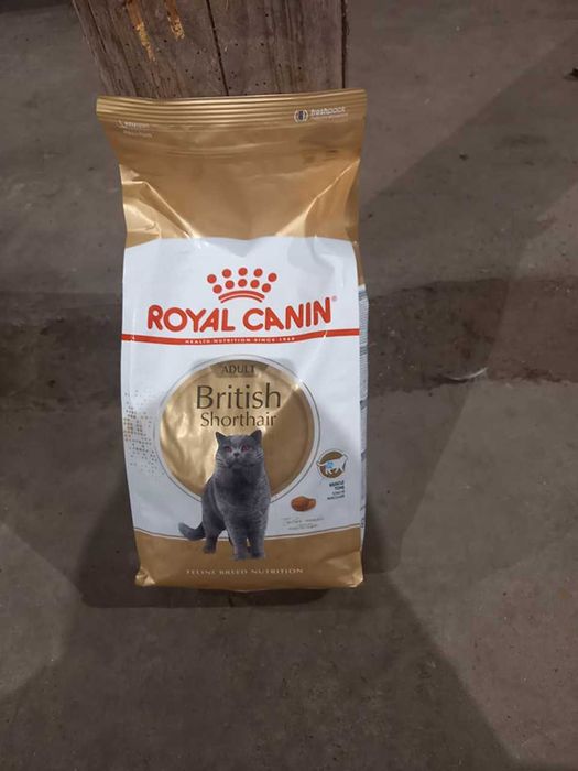 2 worki karmy Royal Canin Adult British Shorthair >> 2x 4kg