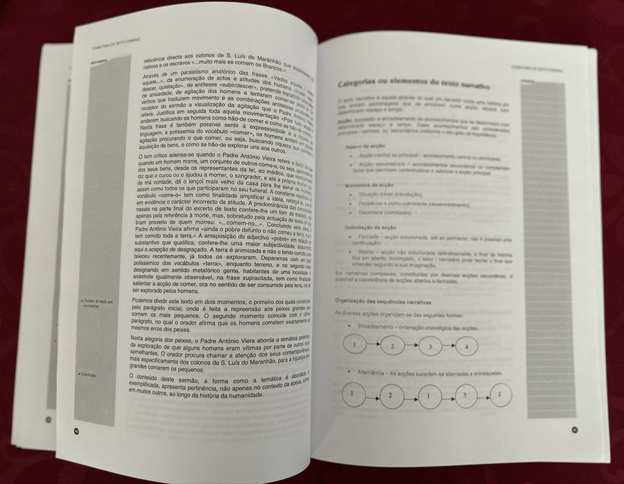 Técnicas de análise literária e construção de texto - Edições Sebenta ISBN 9727990118