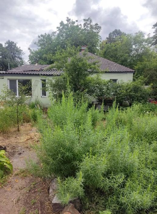 Продам будинок КРАСНА ЛИНИЯ Чугуїв