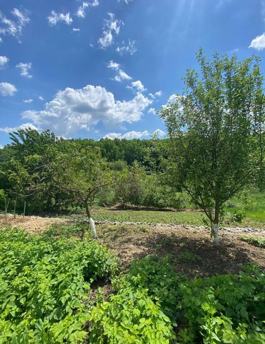 Гарний будинок в мальовничому селі