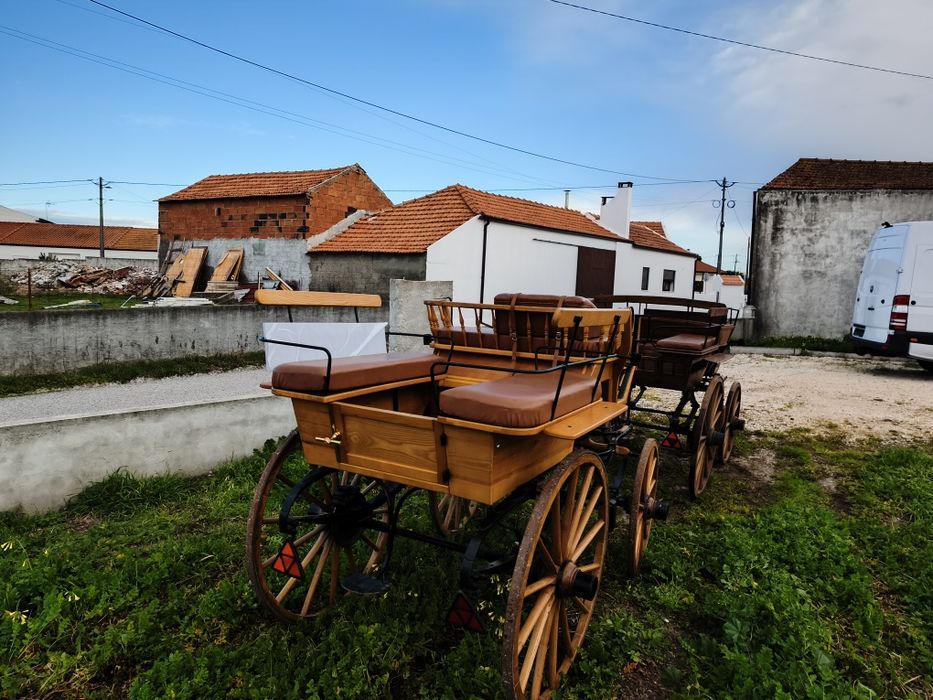 Charrete para cavalos