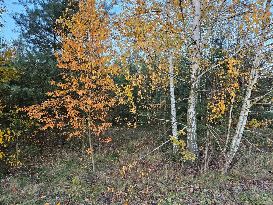 Działki budowlane Lubliniec - Widok 3