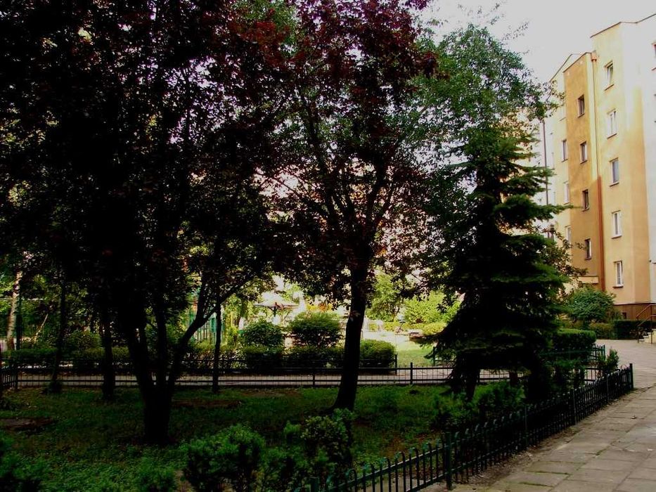 Zdjęcie 8