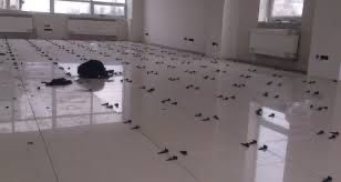 Ремонт Квартир по м Ужгород