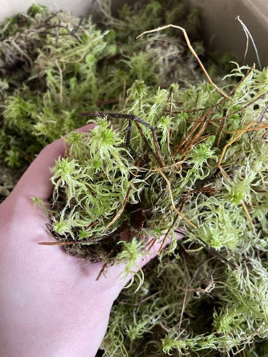 Обмін рослинами