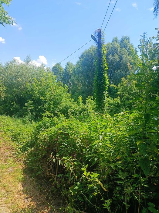 Продаю земельну ділянку в Броварському районі, с. Пухівка