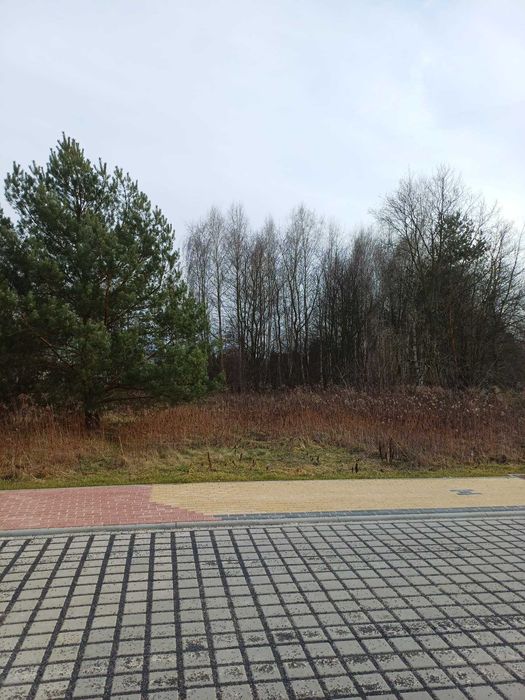 Działka o pow. 1034 m2. z wydanymi WZ w Iłowej, w spokojnej okolicy