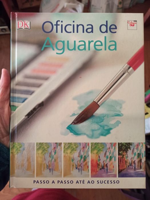 Livros de pintura
