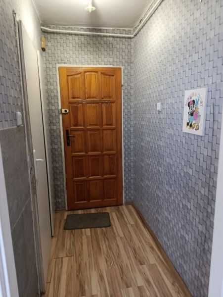 Do WYNAJĘCIA kawalerka oś. Błękitne Dzierżoniów