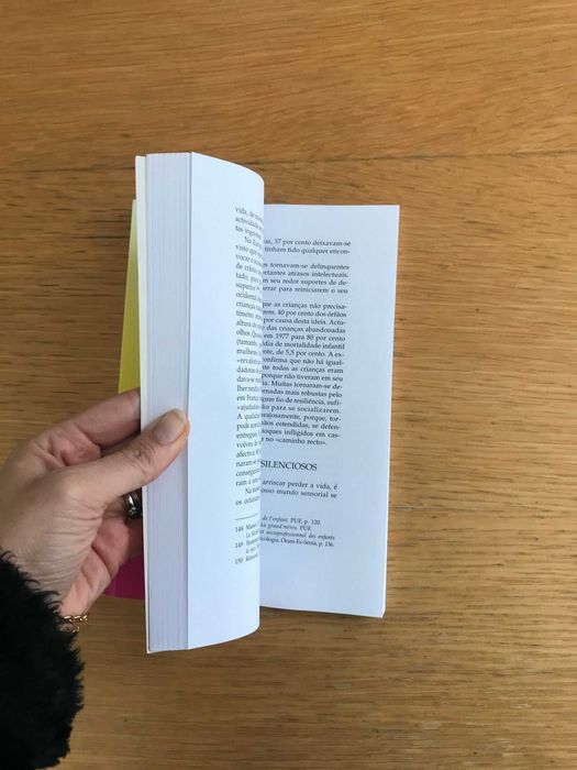 Resiliência - Essa inaudita capcidade de construção humana