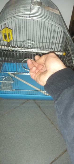 Клітка для папуги