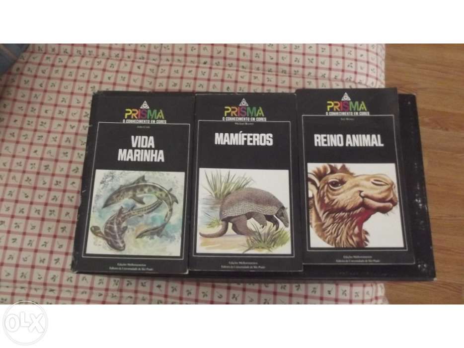 Livros / 3 Prisma + 1 Gabriela / Cravo / Canela