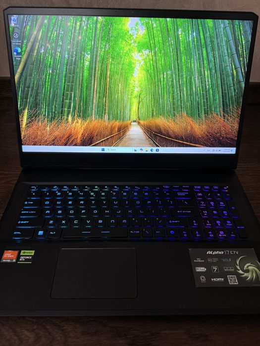 Ноутбук Alpha17 (C7VG-035XPL)