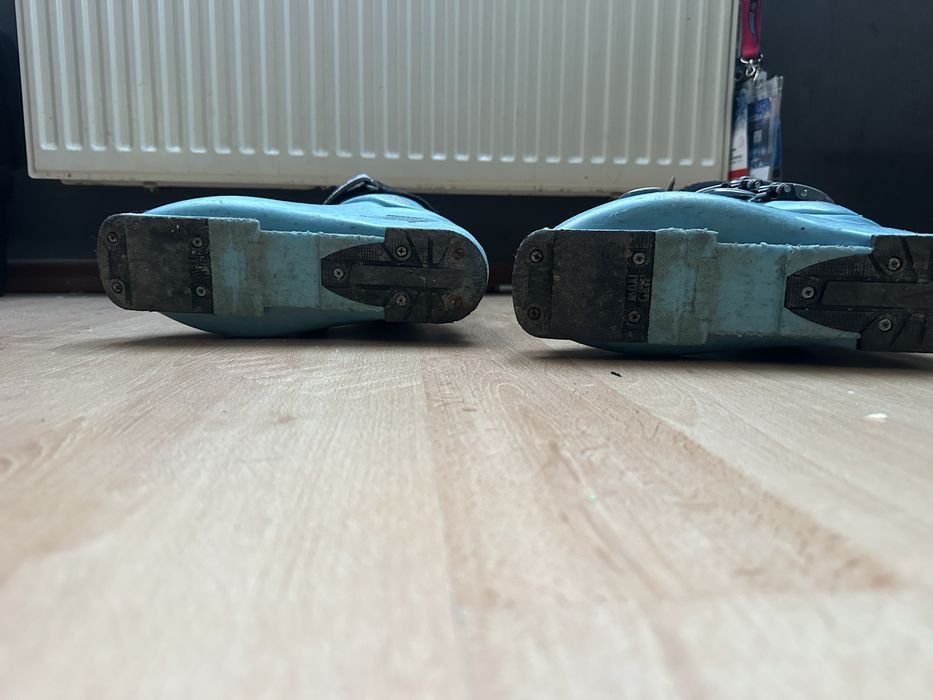 Buty narciarskie 24,5 cm