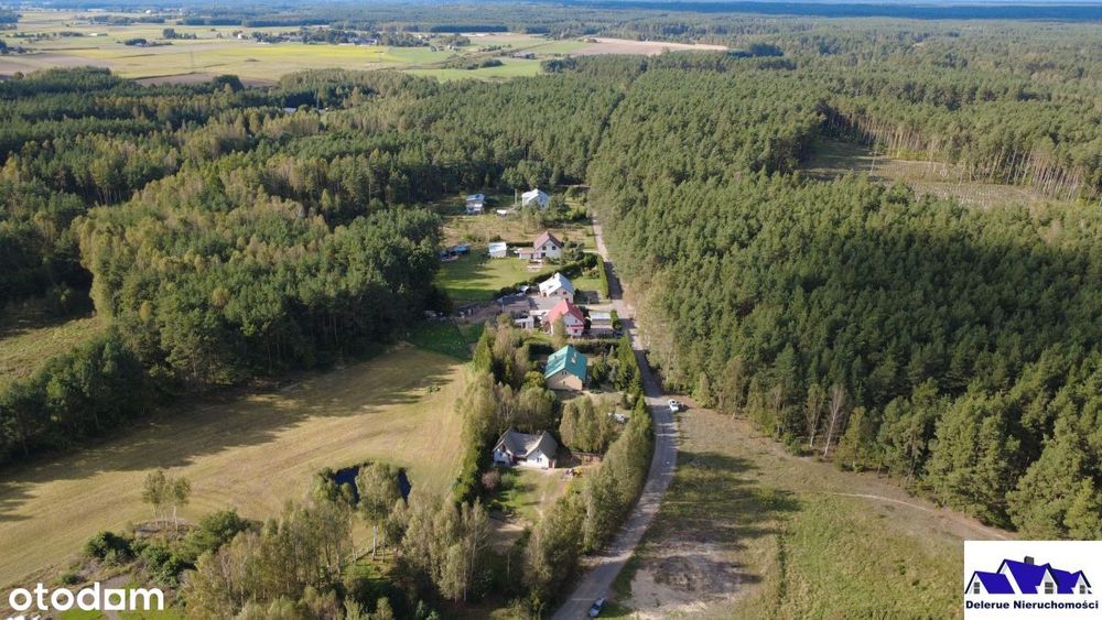 Dom w sąsiedztwie lasu Bory Tucholskie