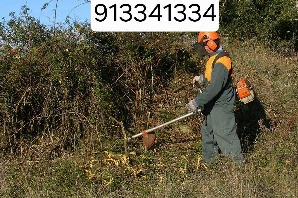Limpeza de terrenos