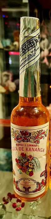 Água Kananga 221ml
