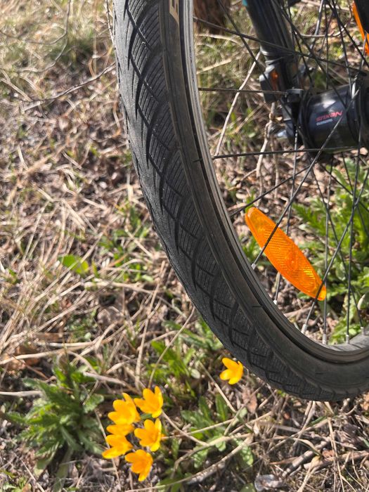 Rower Kellys Kiter 70 Junior