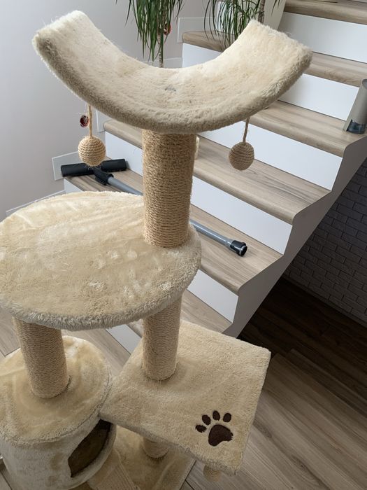 Duzy drapak dla kota