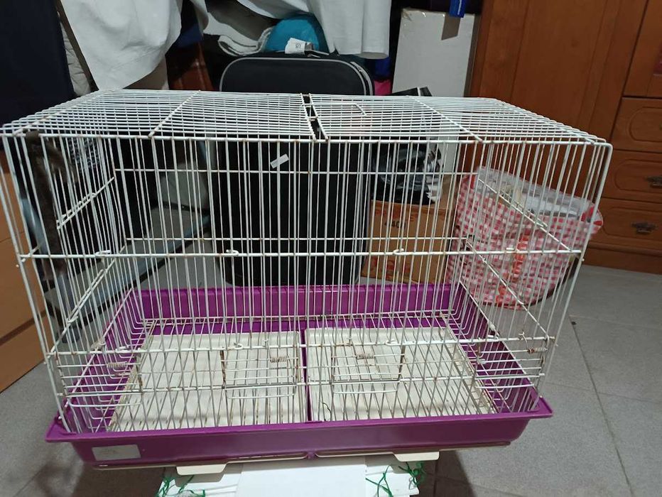 Gaiola (Foros de Amora)