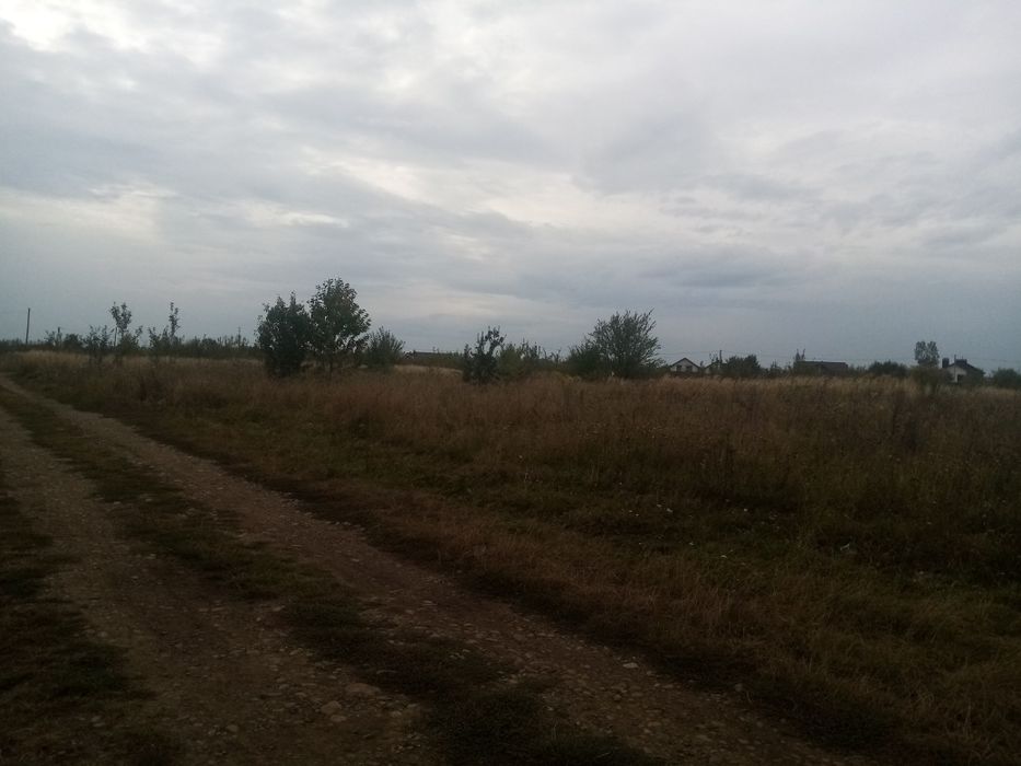 Оренда землі в Підпечерах