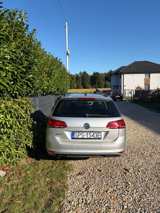 Wypożyczalnia samochodów, wynajem aut